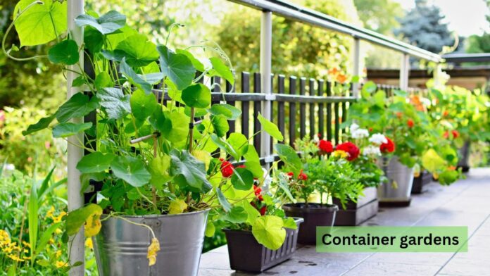 Gardening Basics-A Beginner's Guide to Starting Your First Garden