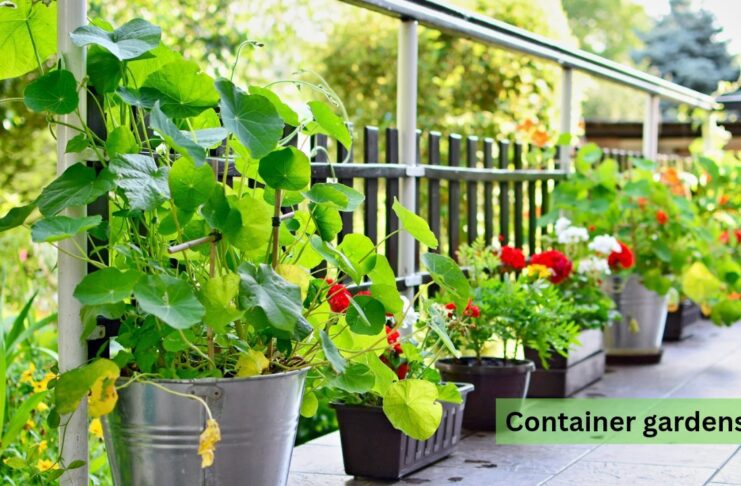 Gardening Basics-A Beginner's Guide to Starting Your First Garden