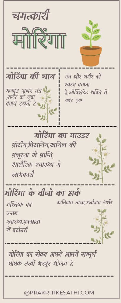 मोरिंगा-के-लाभ-इन्फोग्राफिक