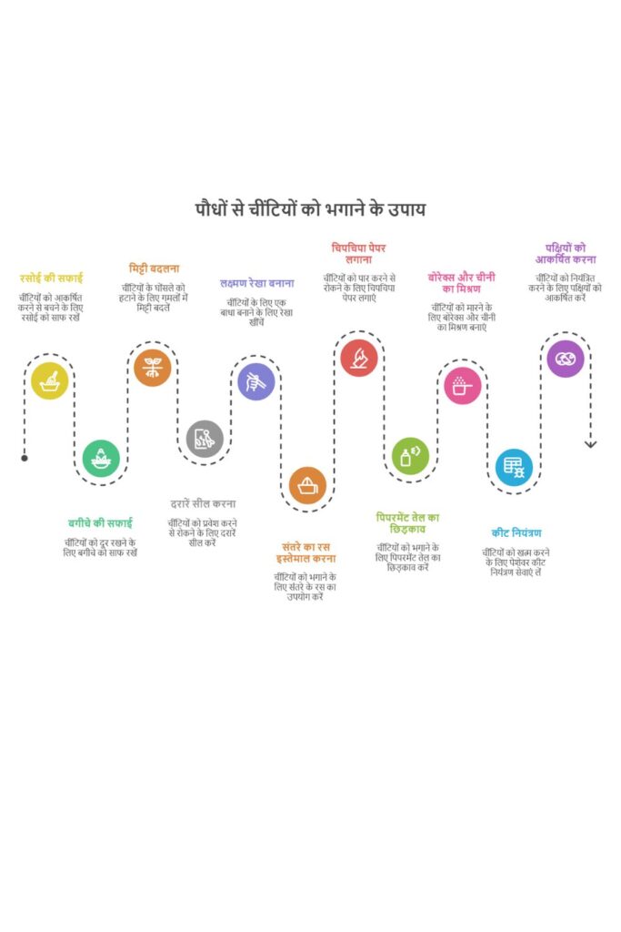 चींटियों को प्लांट्स से दूर रखने के उपाय की जानकारी वाला इन्फ़ोग्राफिक