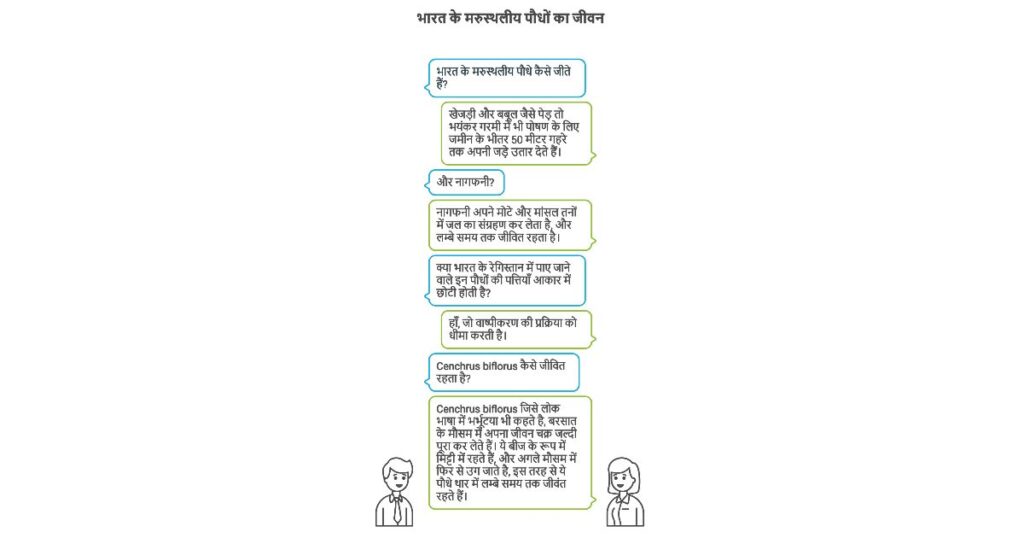 थार के पौधों की विशेषताएं 