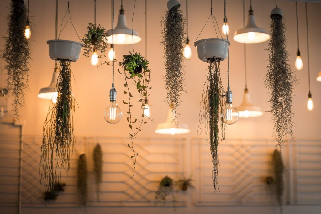 spanish-moss-home-decor 