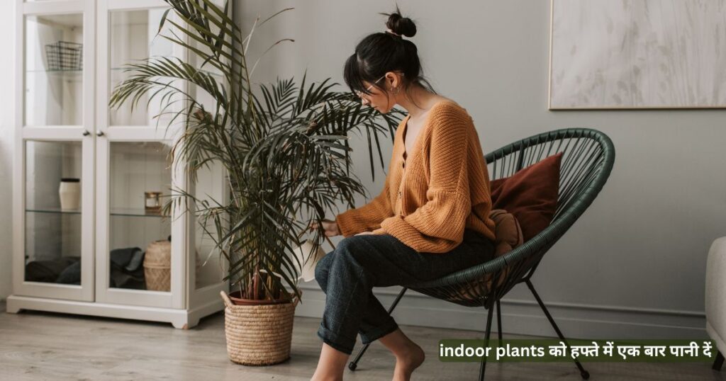 सर्दियों में indoor plants को कम पानी दें 